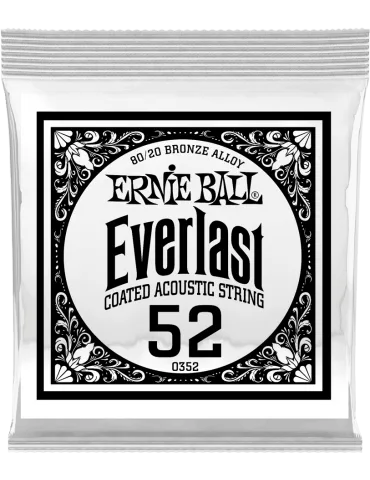 ERNIE BALL 10352