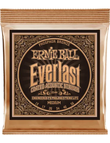 ERNIE BALL 2544 | MusicGoodDeal