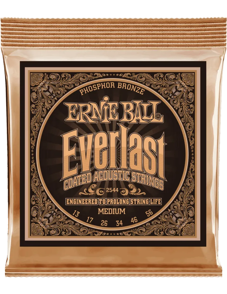 ERNIE BALL 2544 | MusicGoodDeal