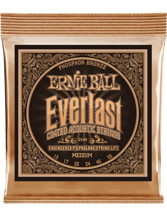 ERNIE BALL 2544 | MusicGoodDeal