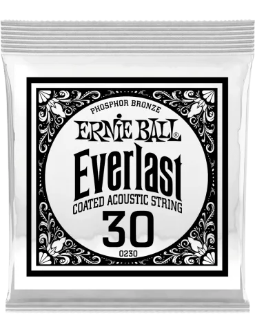ERNIE BALL 10230