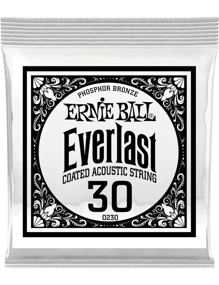 ERNIE BALL 10230 | MusicGoodDeal