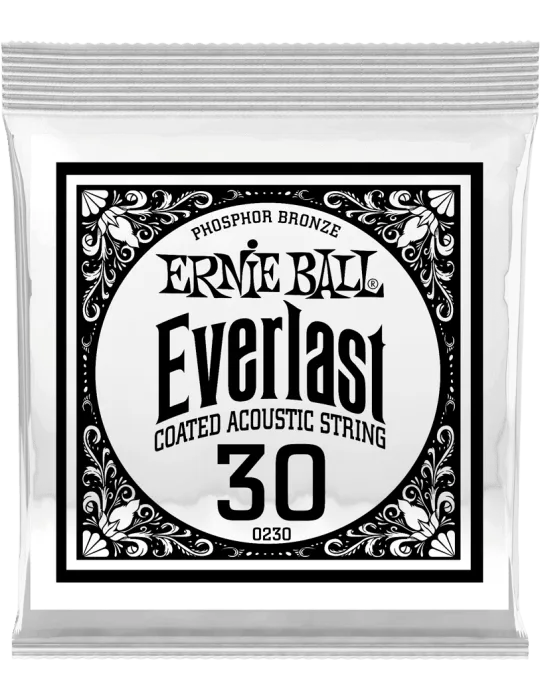 ERNIE BALL 10230 | MusicGoodDeal