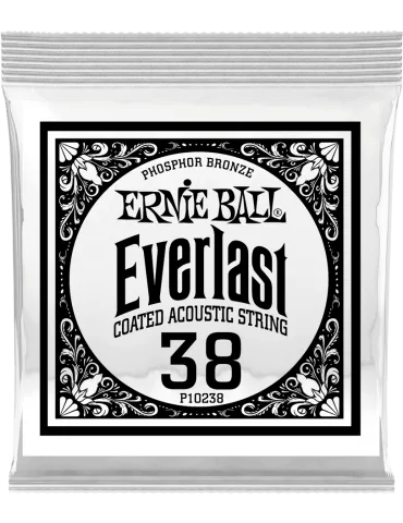 ERNIE BALL 10238 | MusicGoodDeal