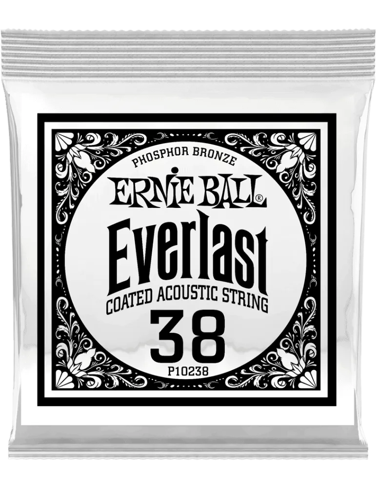 ERNIE BALL 10238 | MusicGoodDeal