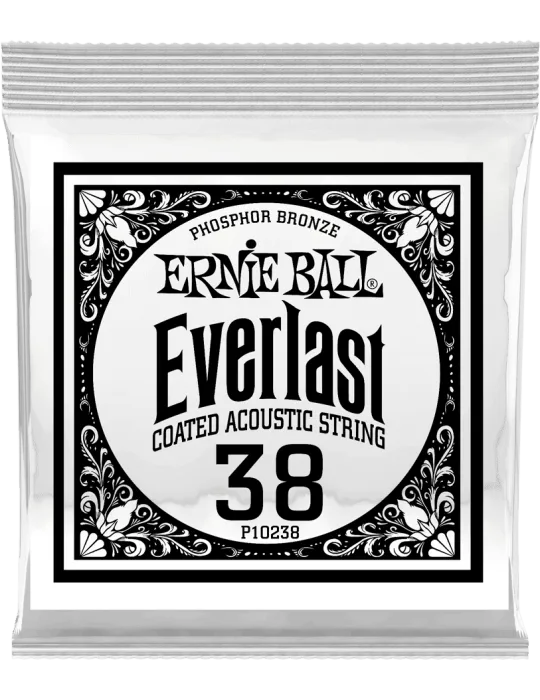 ERNIE BALL 10238 | MusicGoodDeal