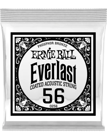 ERNIE BALL 10256 | MusicGoodDeal