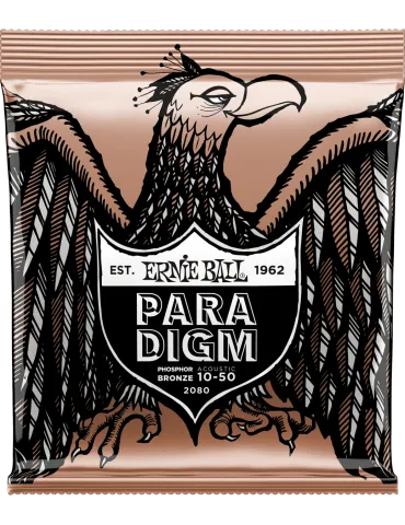 ERNIE BALL 2080 | MusicGoodDeal