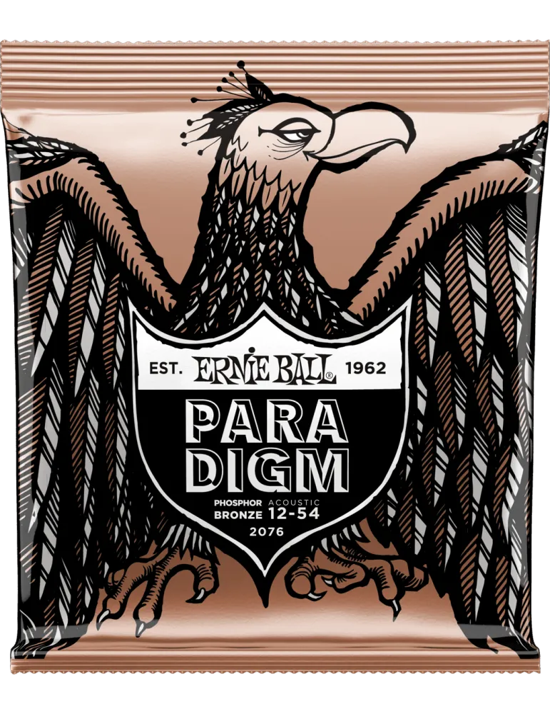 ERNIE BALL 2076 | MusicGoodDeal