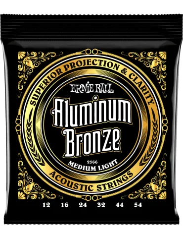 ERNIE BALL 2566 | MusicGoodDeal
