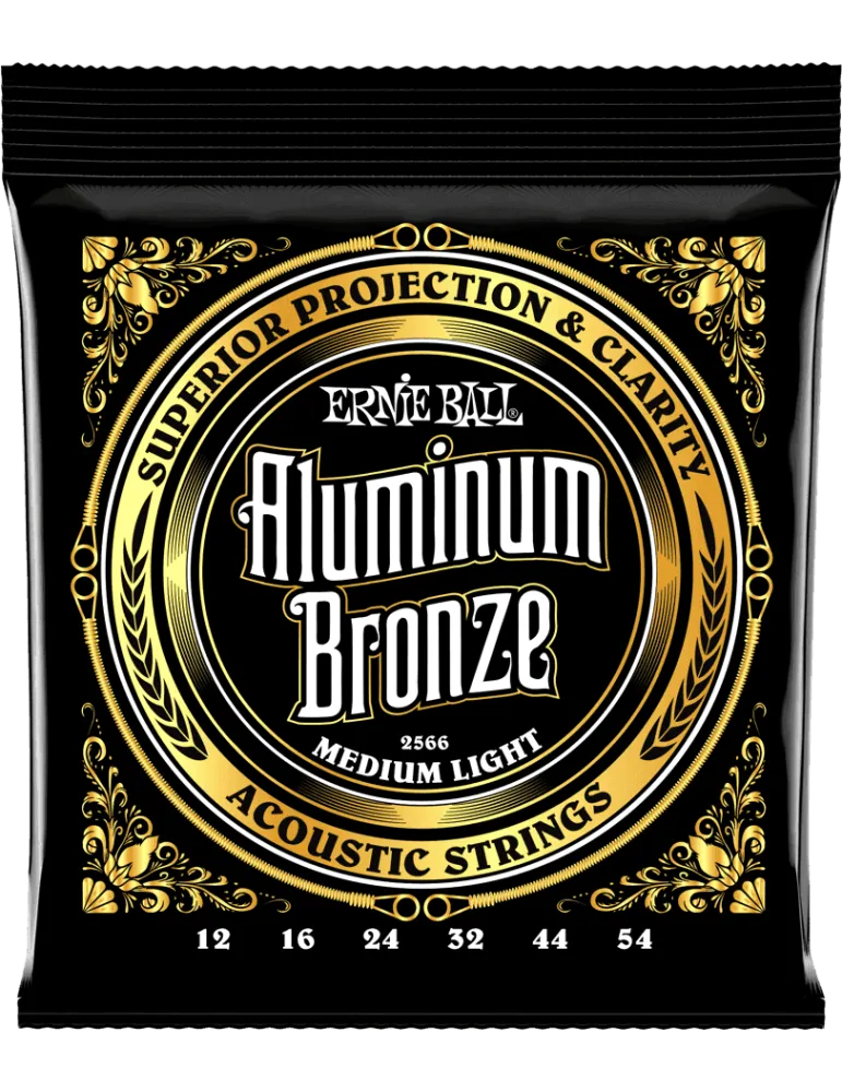 ERNIE BALL 2566 | MusicGoodDeal