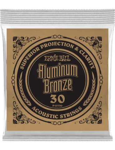 ERNIE BALL 10730