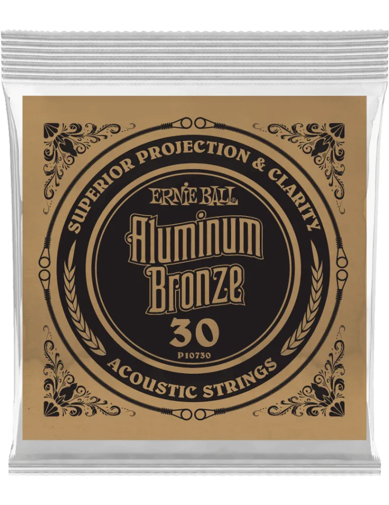 ERNIE BALL 10730 | MusicGoodDeal