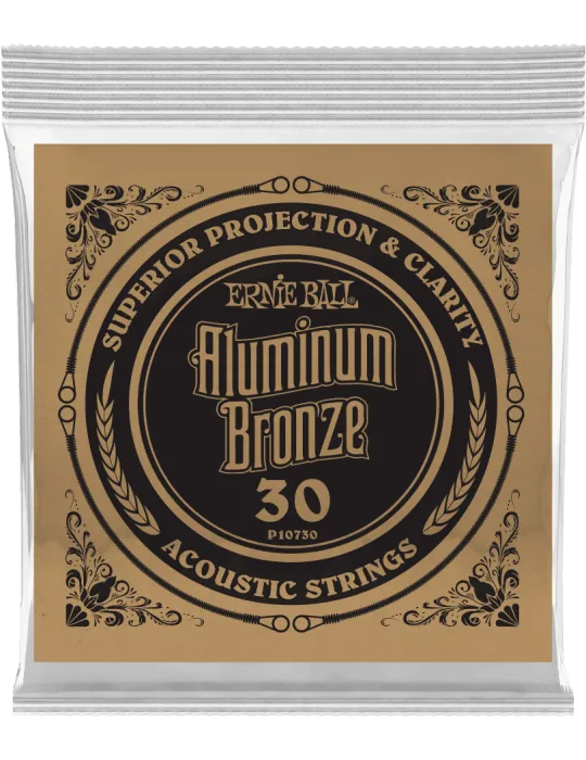 ERNIE BALL 10730 | MusicGoodDeal