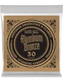 ERNIE BALL 10730 | MusicGoodDeal