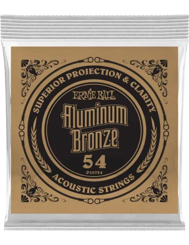 ERNIE BALL 10754 | MusicGoodDeal