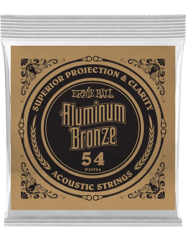 ERNIE BALL 10754 | MusicGoodDeal