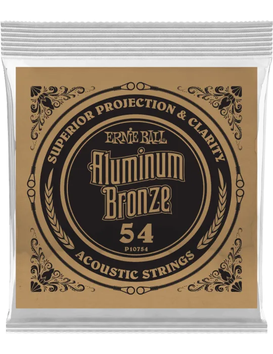 ERNIE BALL 10754 | MusicGoodDeal