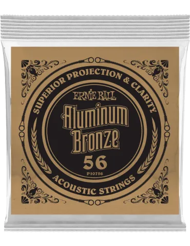 ERNIE BALL 10756 | MusicGoodDeal
