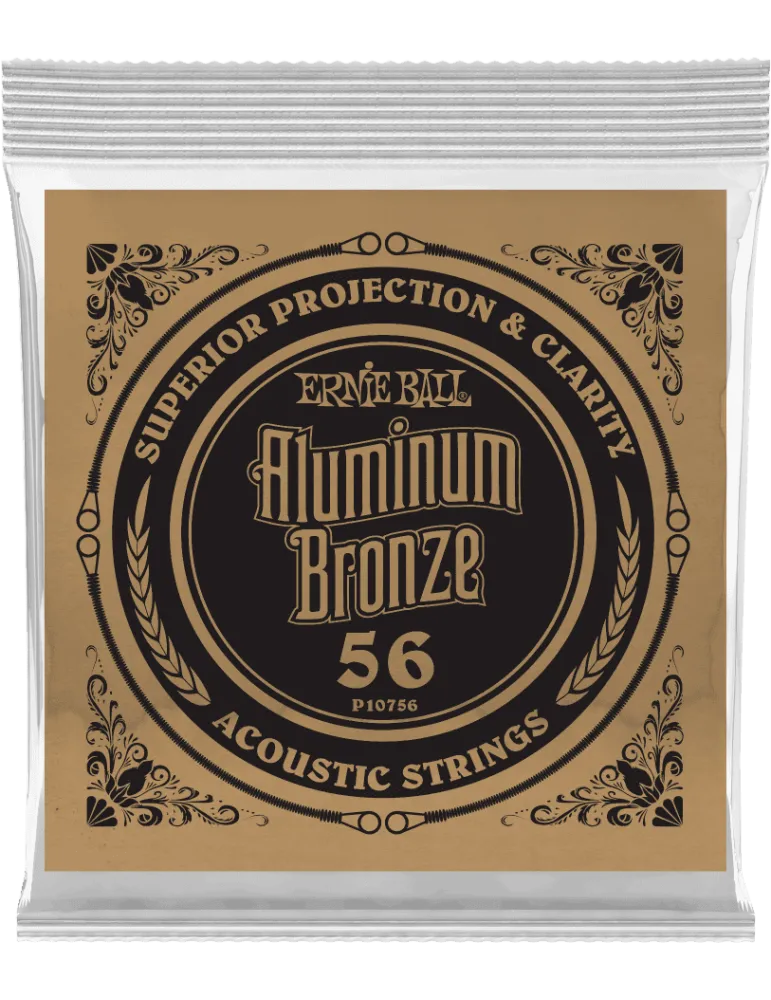 ERNIE BALL 10756 | MusicGoodDeal