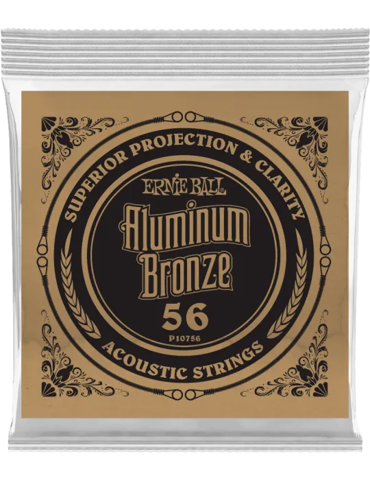 ERNIE BALL 10756 | MusicGoodDeal