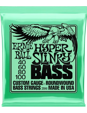 ERNIE BALL 2841 | MusicGoodDeal