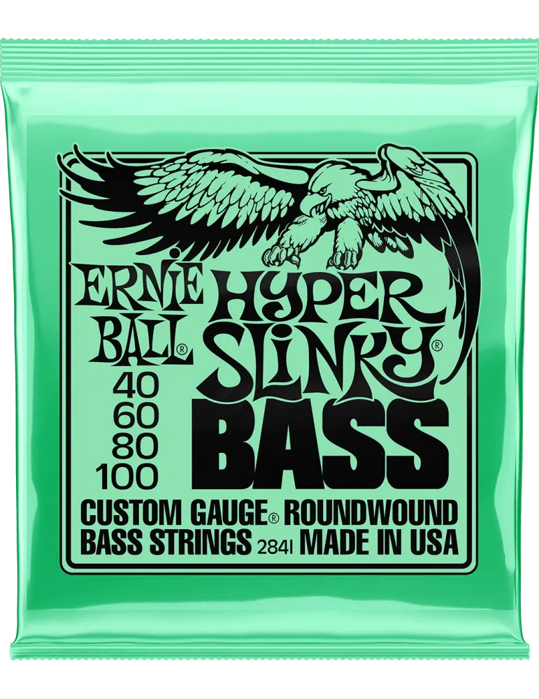 ERNIE BALL 2841 | MusicGoodDeal