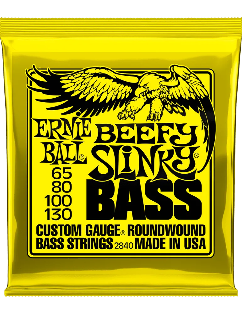 ERNIE BALL 2840 | MusicGoodDeal