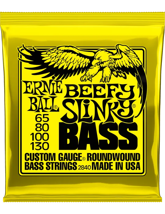 ERNIE BALL 2840 | MusicGoodDeal