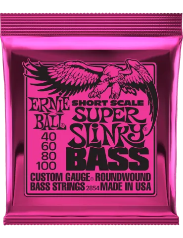 ERNIE BALL 2854 | MusicGoodDeal