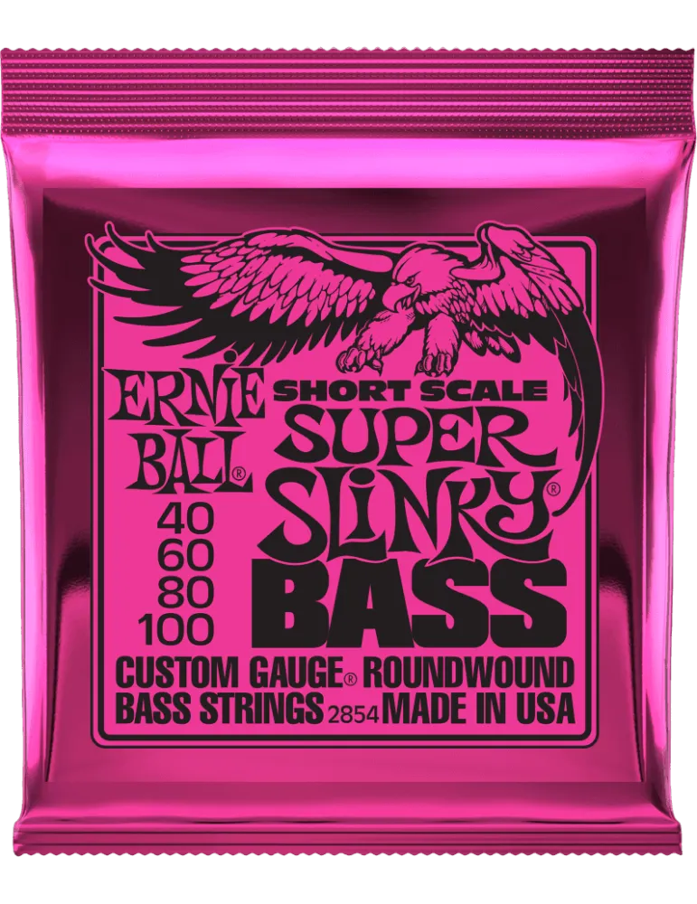 ERNIE BALL 2854 | MusicGoodDeal