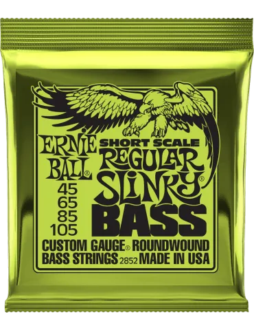 ERNIE BALL 2852 | MusicGoodDeal