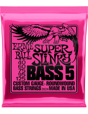 ERNIE BALL 2824 | MusicGoodDeal