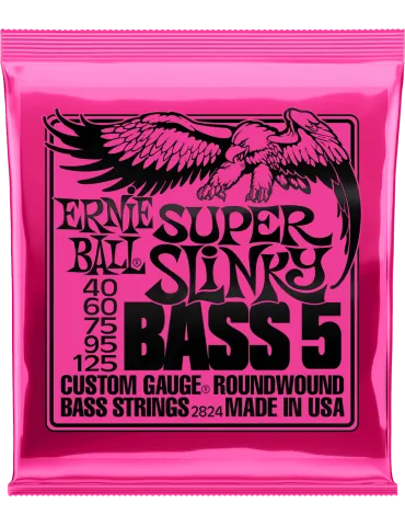 ERNIE BALL 2824 | MusicGoodDeal