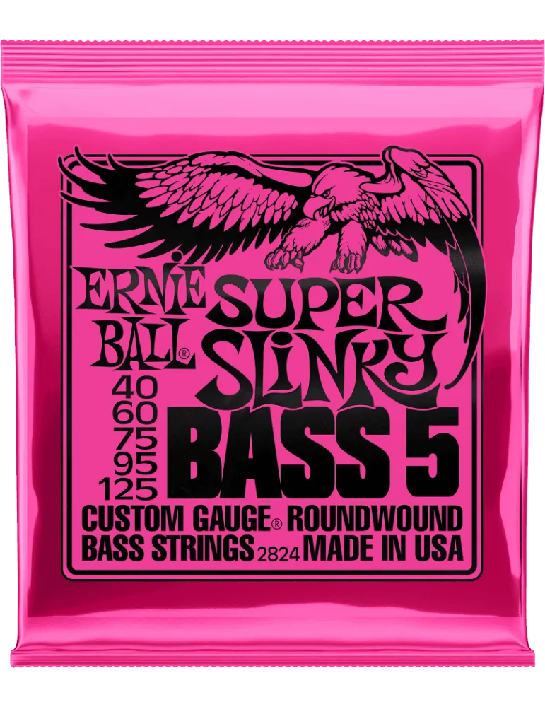 ERNIE BALL 2824 | MusicGoodDeal