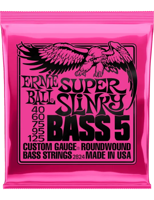 ERNIE BALL 2824 | MusicGoodDeal