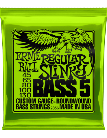 ERNIE BALL 2836 | MusicGoodDeal