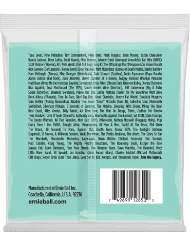 ERNIE BALL 2850 | MusicGoodDeal 2