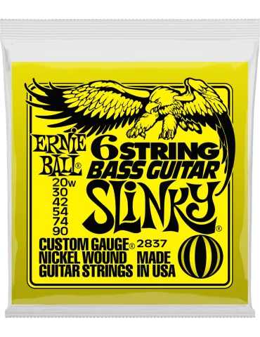 ERNIE BALL 2837 | MusicGoodDeal