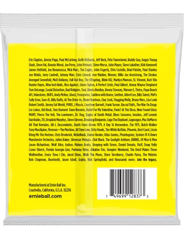 ERNIE BALL 2837 | MusicGoodDeal 2