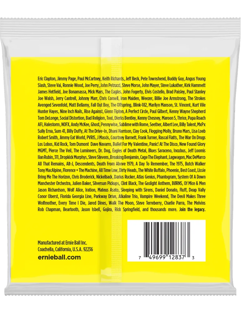 ERNIE BALL 2837 | MusicGoodDeal
