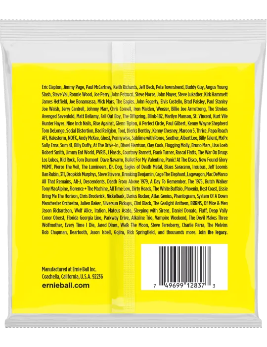 ERNIE BALL 2837 | MusicGoodDeal