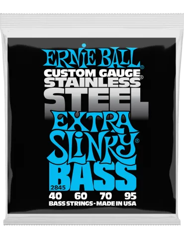 ERNIE BALL 2845 | MusicGoodDeal