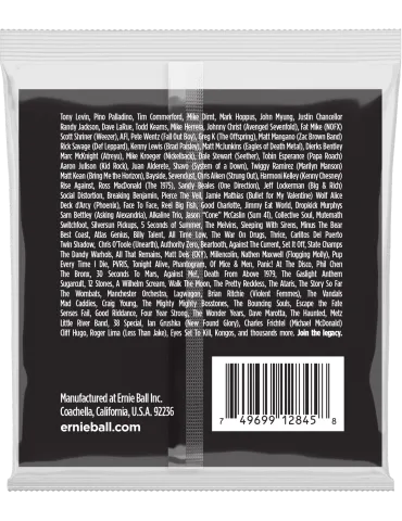 ERNIE BALL 2845 | MusicGoodDeal 2