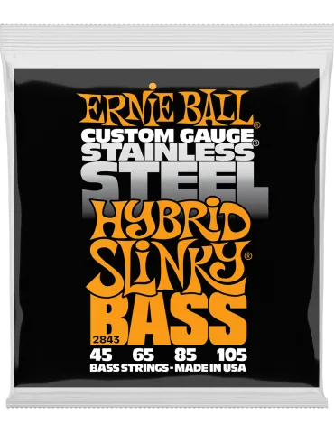 ERNIE BALL 2843 | MusicGoodDeal