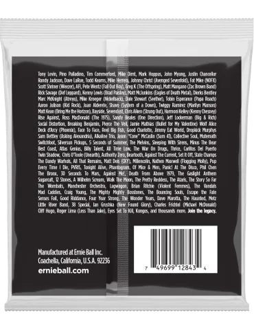 ERNIE BALL 2843 | MusicGoodDeal 2