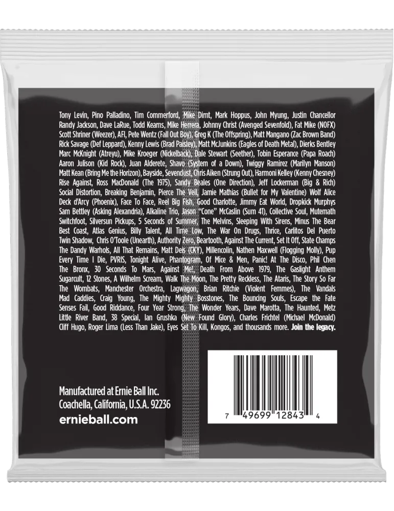 ERNIE BALL 2843 | MusicGoodDeal