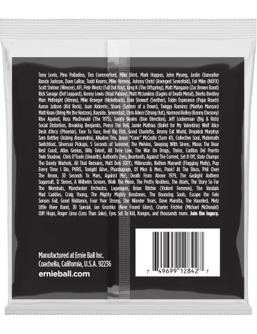 ERNIE BALL 2842 | MusicGoodDeal 2