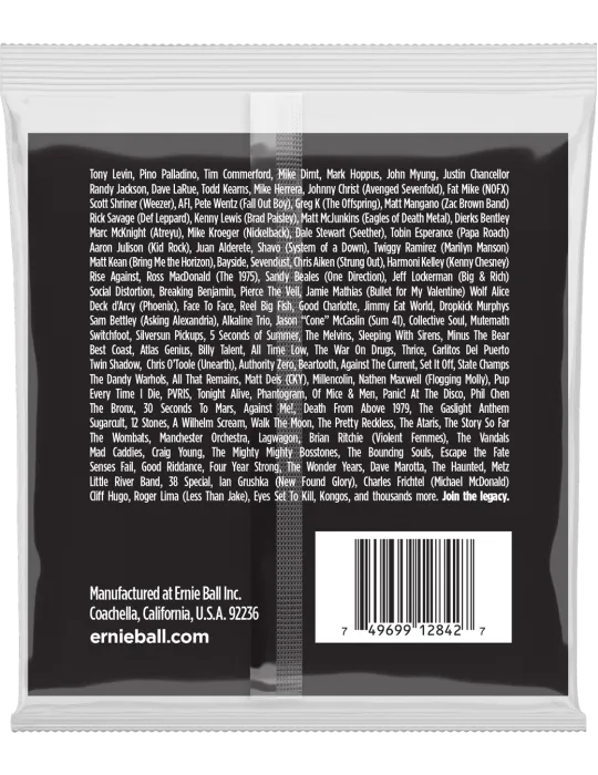 ERNIE BALL 2842 | MusicGoodDeal