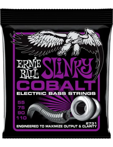 ERNIE BALL 2731 | MusicGoodDeal